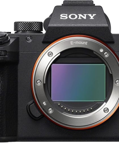 Test : sony Alpha 7 III, l'hybride plein format en action