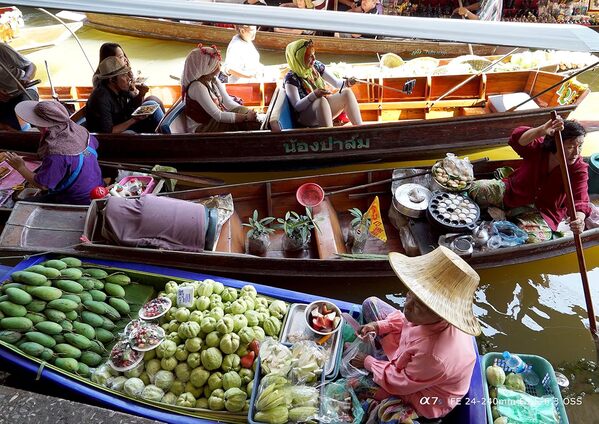 Sony SEL24240 FE 24-240 mm f/3.5-6.3 OSS, Objectif Plein format Grand angle, Noir