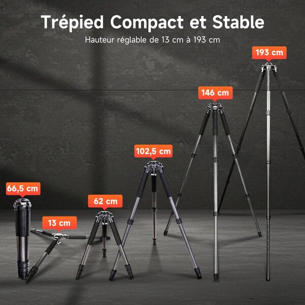 Rollei Rock Solid Alpha XL Mark III, 193cm Trépied Appareil Photo Professionnel Trepied Carbone Photo avec Capacité de Charge de 40kg Camera Tripod Noir avec Tête de Nivellement pour Caméscopes DSLR