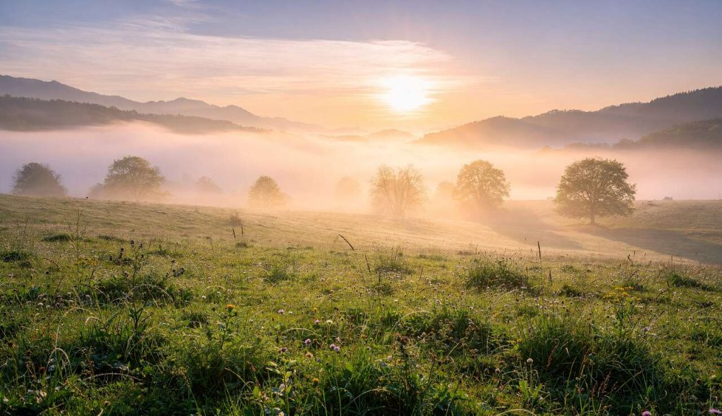 Gagner un concours photo sans appareil dernier cri