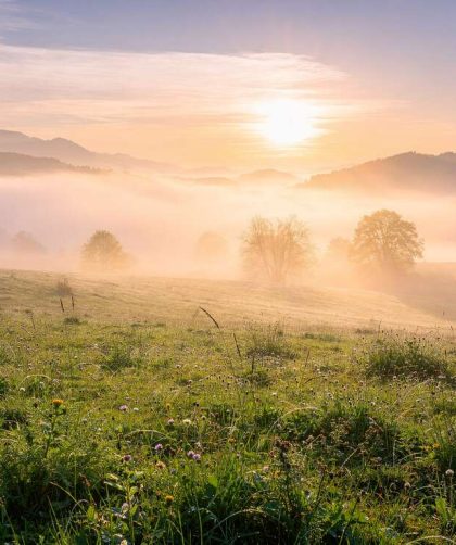 Gagner un concours photo sans appareil dernier cri