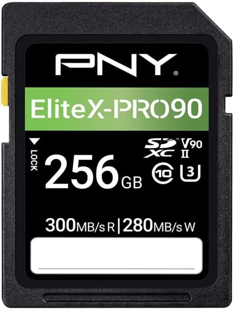 Test : carte mémoire PNY 256GB X-Pro 90 UHS-II