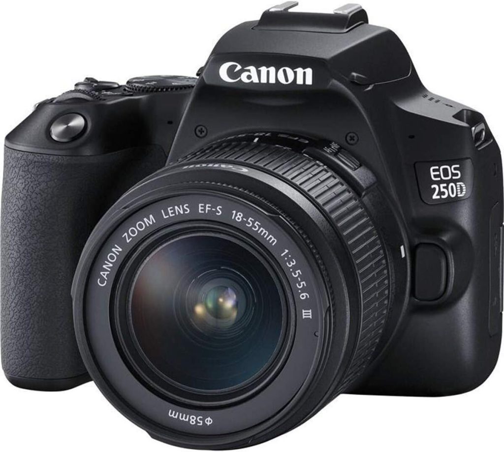 Test du Canon EOS 250D avec EF-S 18-55mm : une valeur dépassée ?