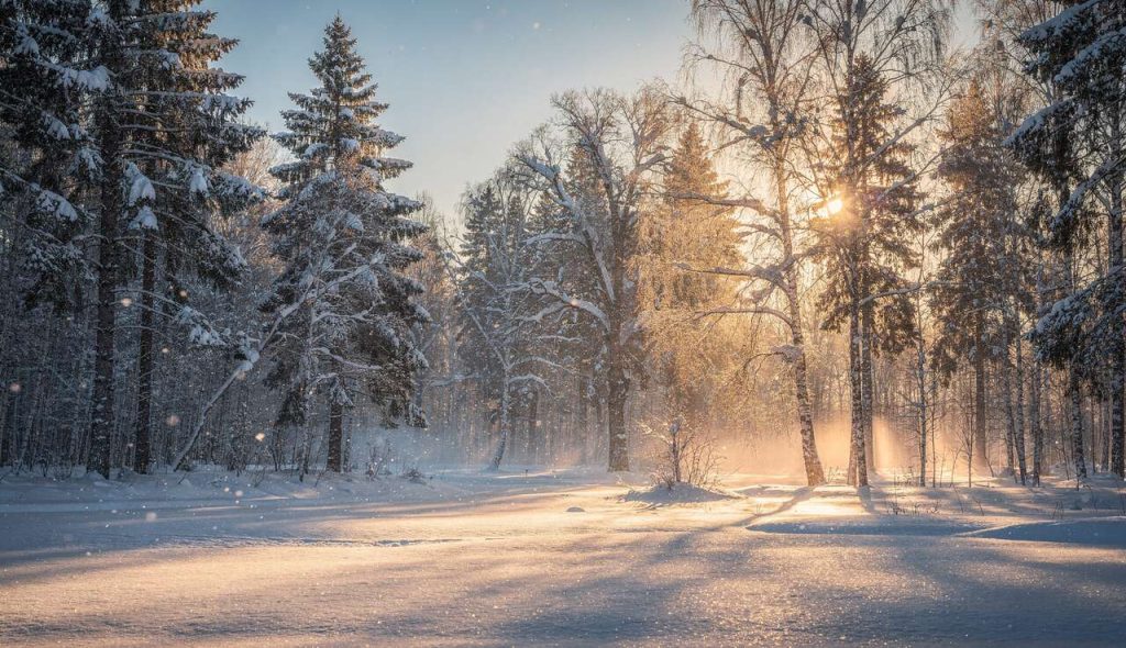 5 astuces pour réussir vos photos de neige