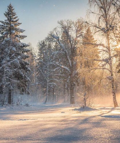 5 astuces pour réussir vos photos de neige