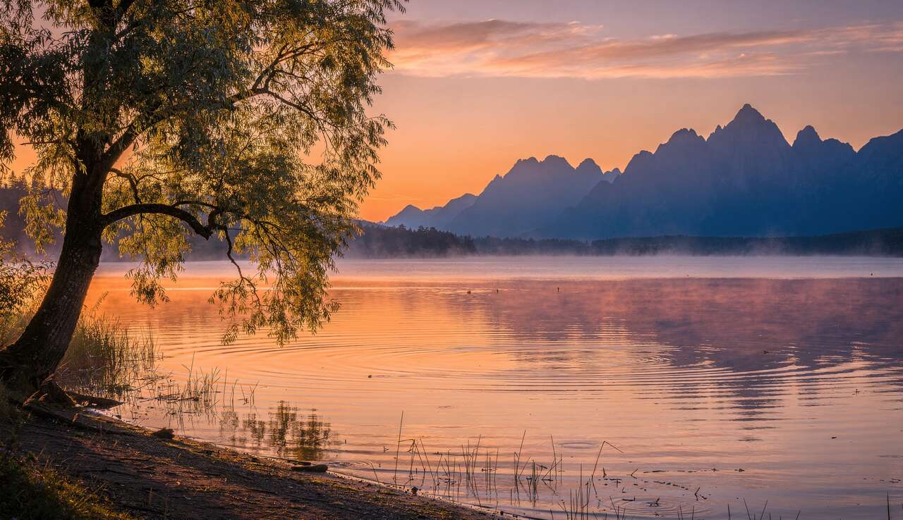 Choisir le bon moment pour photographier