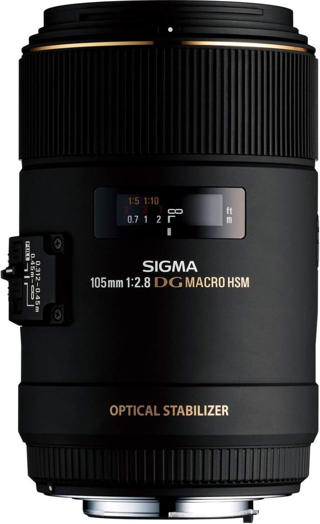 Test : objectif Sigma 105 mm F2, 8 DG OS HSM pour Canon