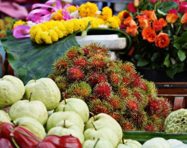 Découvrez les caractéristiques du Sony DSCW810B, un appareil photo compact offrant qualité et performance. Guide complet pour capturer vos moments les plus précieux avec aisance.