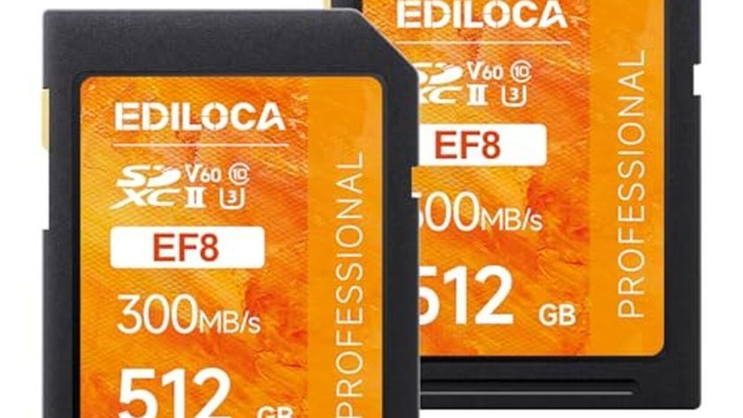 Test des cartes SD UHS II SDXC 512 Go : performances de haut vol