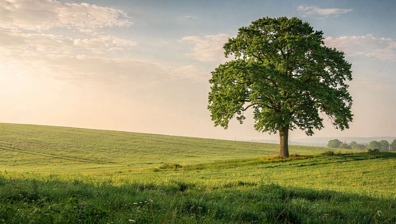 Comprendre la r&egrave;gle des tiers