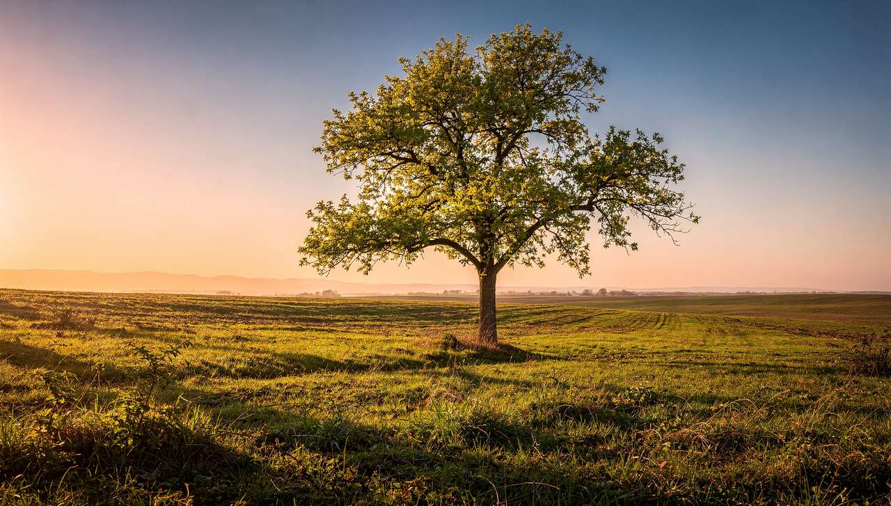 Adopter un point de vue unique