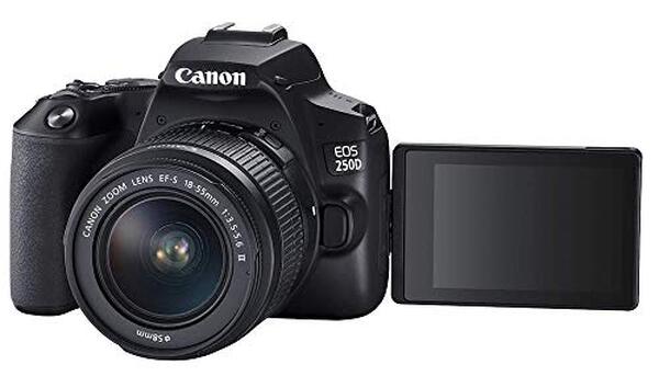 Découvrez les performances du Canon EOS 250D avec ses objectifs 18-55mm et 75-300mm. Idéal pour des clichés variés, ce modèle surprend par sa qualité d'image et sa légèreté, parfait pour les amateurs de photographie.