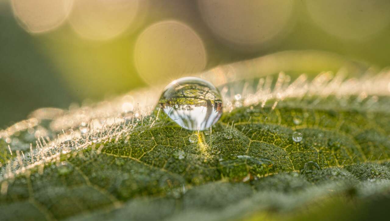 L'objectif macro