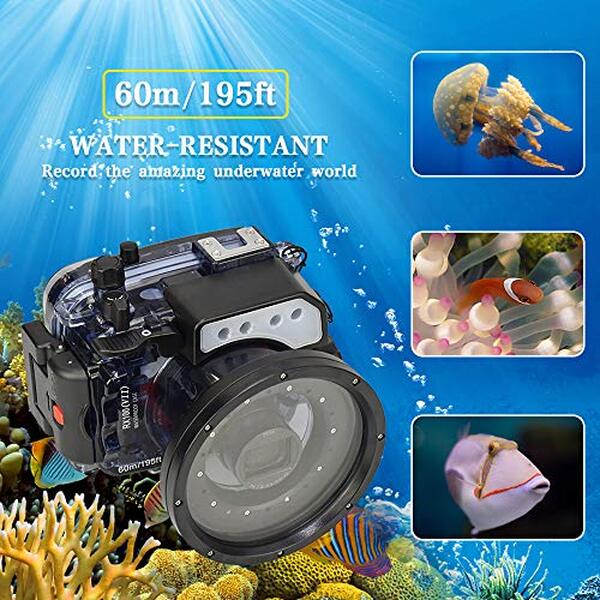 Découvrez notre analyse complète du boîtier sous-marin Sea frogs pour le Sony rx100 vii : fonctionnalités, performances et avis d'expert pour une photographie sous-marine réussie