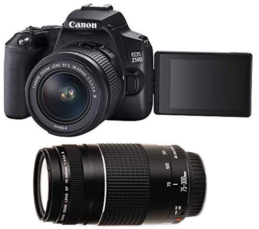 Test Canon EOS 250D : performance avec double objectif 18-55mm et 75-300mm