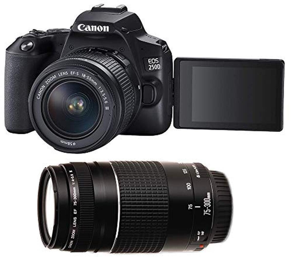 Test Canon EOS 250D : performance avec double objectif 18-55mm et 75-300mm