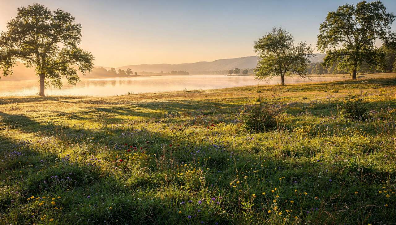 Exploiter la lumière naturelle et artificielle