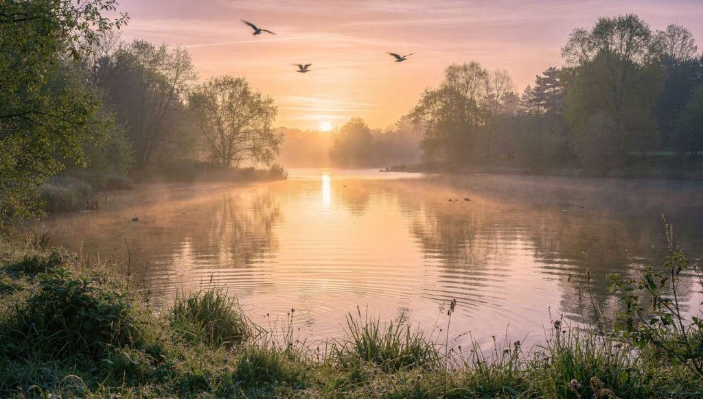 Comment la photographie peut-elle transformer votre vie ?