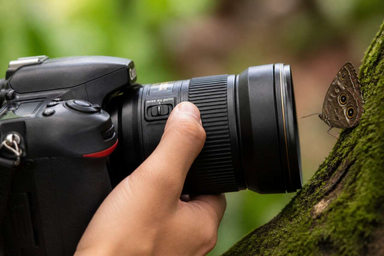 Autofocus et focus : définitions et rôle de la mise au point Autofocus et focus : définitions et rôle de la mise au point