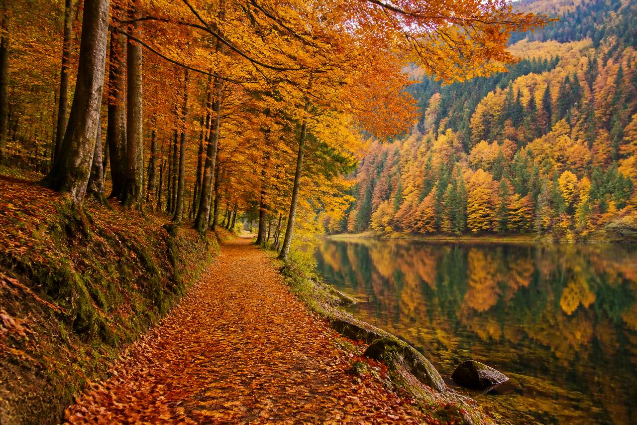 Composer avec les lignes, les couches et un sujet clair Composer avec les lignes, les couches et un sujet clair