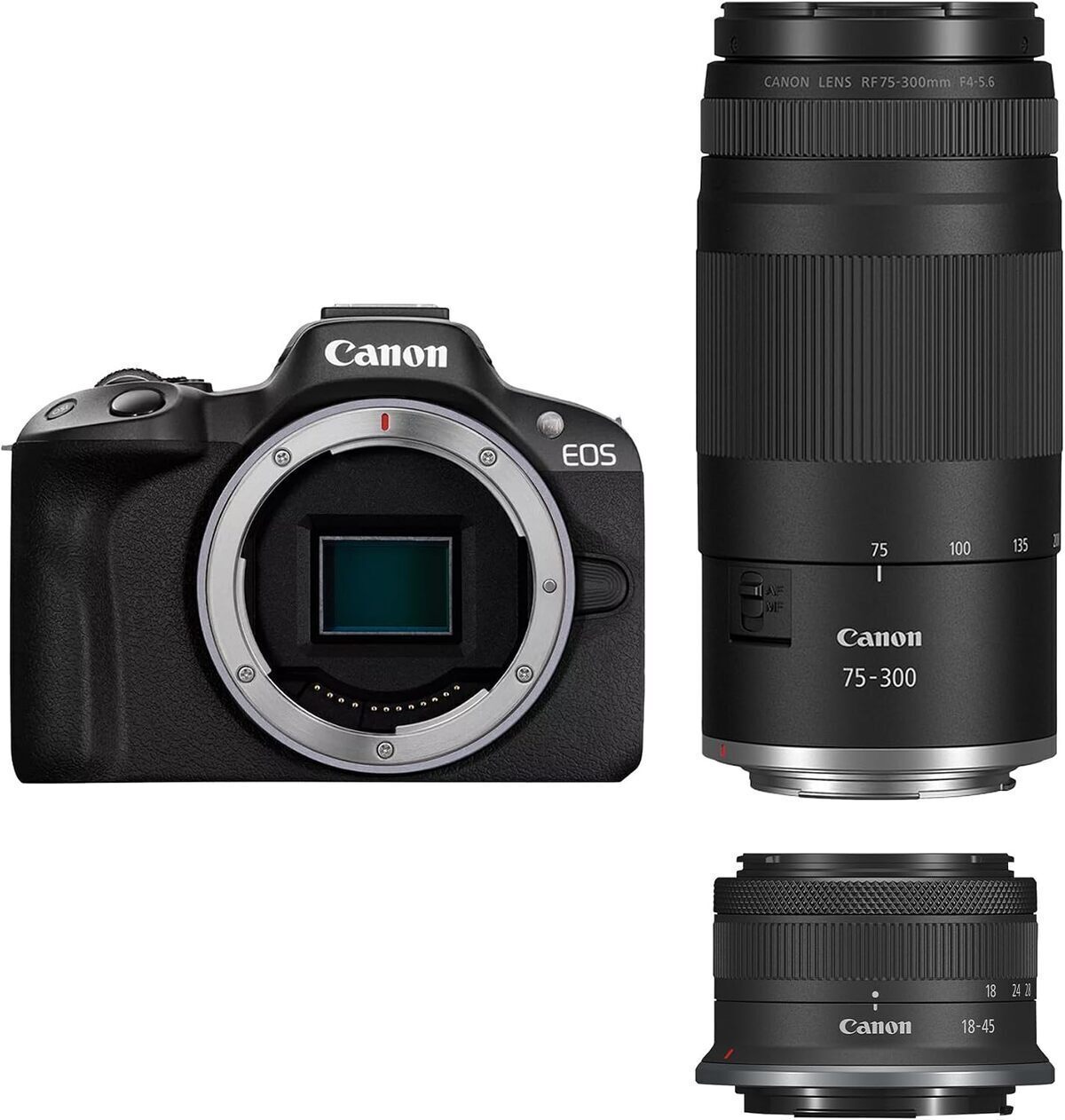 Test du Canon EOS R50 : appareil photo hybride avec double zoom et vidéo 4K